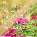 청운오리 이미지