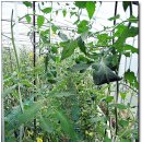 다해농장 이미지