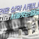 서울웃는얼굴치과의원 이미지