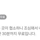 마구로선수