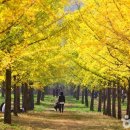 가족레저 체험코스 이미지