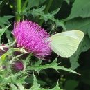 이천생태공원 이미지