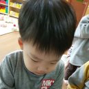 에콜로지아 이미지