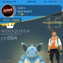 Leader Gym 이미지