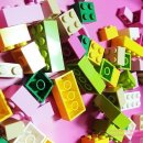 주니어목장 이미지