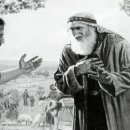 바르실래 이미지