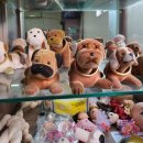 이도테크 이미지