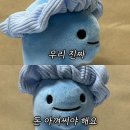 펜싱아지트 | [펜싱장비, 리뷰] 펜싱장비 오프라인에서 입어볼 수 있는 곳?! 알스타/울만/코리아시리즈/레온폴 마스크...