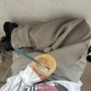 생생일기념 수원 행궁댕이