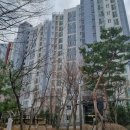 장안48 이미지