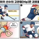 하키솔루션