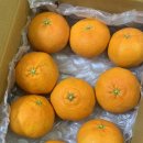 브리지팜 이미지