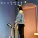 바이디짐 네이버블로그