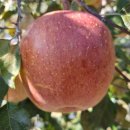 만석농장 이미지