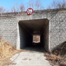 시례농장 Daum카페