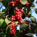 박종훈농장 이미지