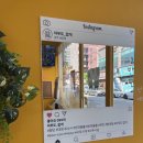 세븐일레븐 광주쌍암제일점 | [광주] 광주애견용품 끝판왕 발견! 아무도없개 광주쌍암점 24시 반려동물 편의점 솔직방문 후기