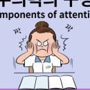 메드위스