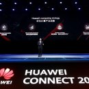 아틀라스 트레이닝(Atlas) 이미지