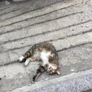 씨유 영등포리더스점 | 2019.06.05~2019.06.22