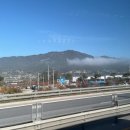 은빛초등 | 민둥산 은빛 억새축제 기간에 가을 등산 다녀온 후기