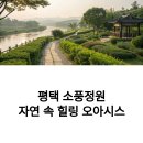 다농마트 평택점 주변 | 평택 소풍정원 최신 후기, 실시간 봄 여행지로 딱인 이유
