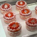 강남-205 | 서울 딸기 케이크 맛집, 키친 205 신세계백화점 강남점(평일 구매 후기)