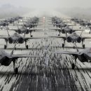 엘레펀트워크(elephant walk)