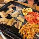 돼지들의이야기 이미지