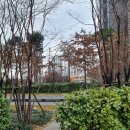 포웰시티단지내공인중개사사무소 | 감일 힐스테이트포웰시티 매매