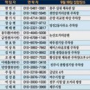 ﻿새한국, 32 도시 차량시위, 추미애 법무(法無) 퇴출 이미지