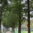 공주문화관광지 | [공주] 백제 문화의 도시 공주, 하루 만에 즐기는 당일치기 코스 추천