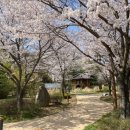 지봉로51번길 외 이미지