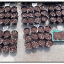 산새랑 게스트하우스 이미지