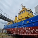 서진이 돌고래 보고왔어요~ 이미지