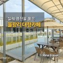 염전 | [인천 을왕리] 동양 염전 후기 | 실제 염전이 남아 있는 대형 베이커리 카페