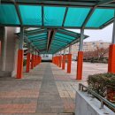 대구봉덕초등학교 이미지