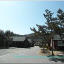 망상오토캠핑리조트 이미지