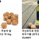 시월 호두 이미지