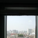 대전 소제동 철도관사촌, 철도마을, 벽화마을 투어~*