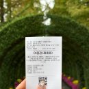 억만농장 | 가을축제 추천! 아산 피나클랜드 오천만송이 국화꽃향기