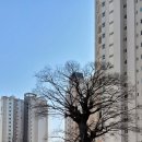 명지에이스공인중개사사무소 이미지