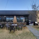 피플앤 퍼피 이미지