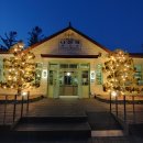 나전중학교 | 20220410 강원도 정선 벚꽃 - 나전 중학교 정문 앞