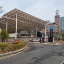 서시장(KT건너) | 광장시장 전 맛집 찾다가 발견한 “호선생전” 솔직 후기 (웨이팅 실화?)