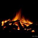 새바라기 이미지