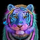 백작크리닝 이미지