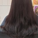 용궁건어물센타 이미지