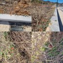 건축사사무소인우 이미지