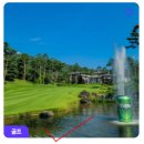 여주-0832 이미지